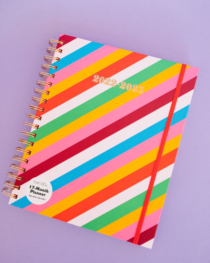 17 Month Large Planner